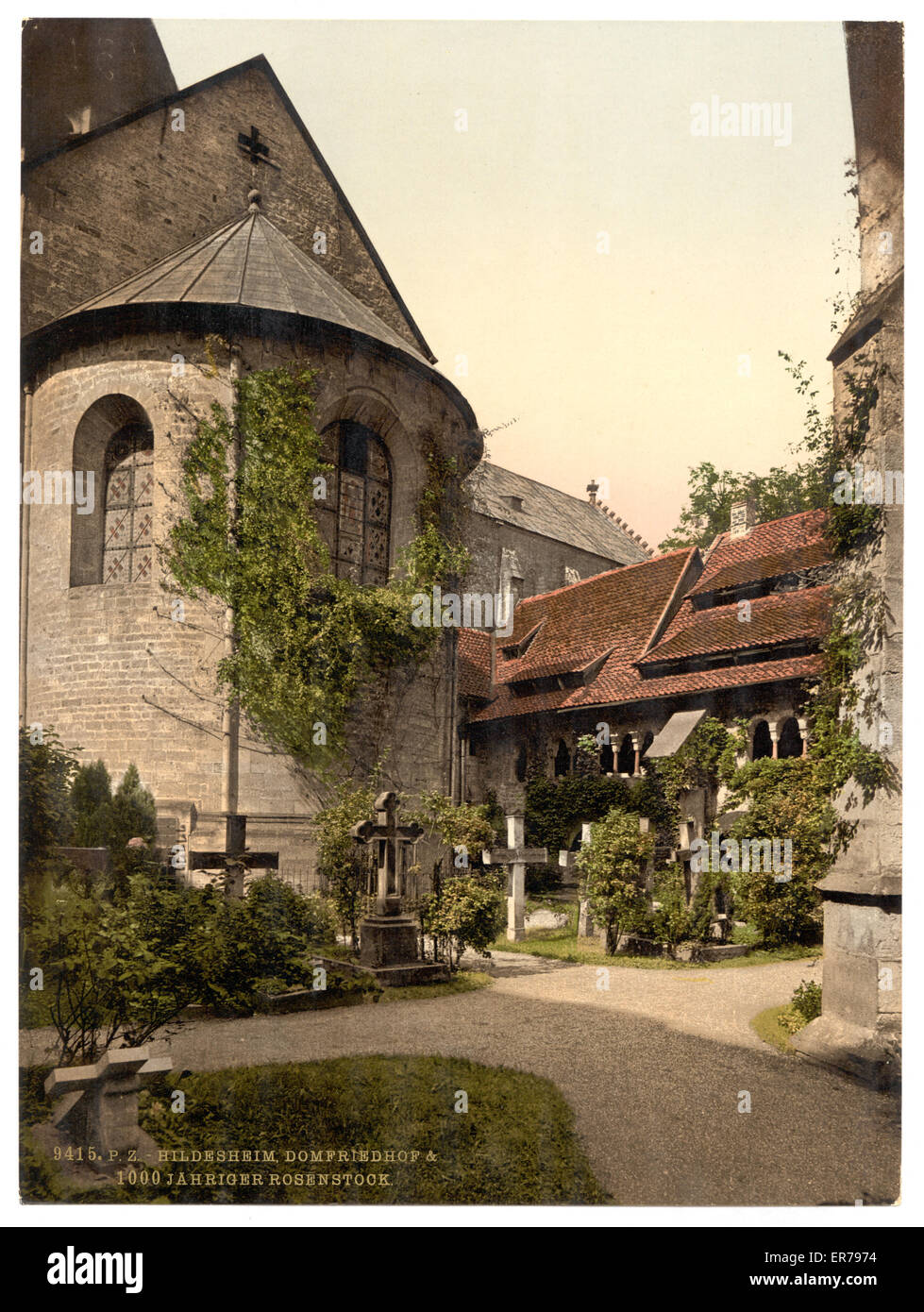 Cattedrale, cortile e rosa di 1.000 anni, Hildeshe Foto Stock