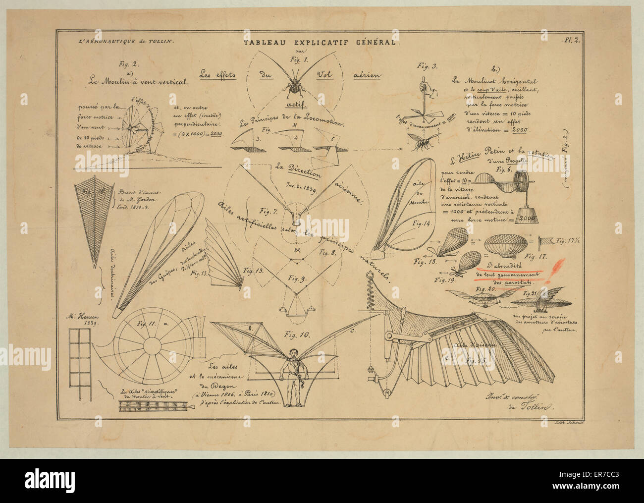 Tableau explicatif generale. Les effets du vol eyrien actif Foto Stock