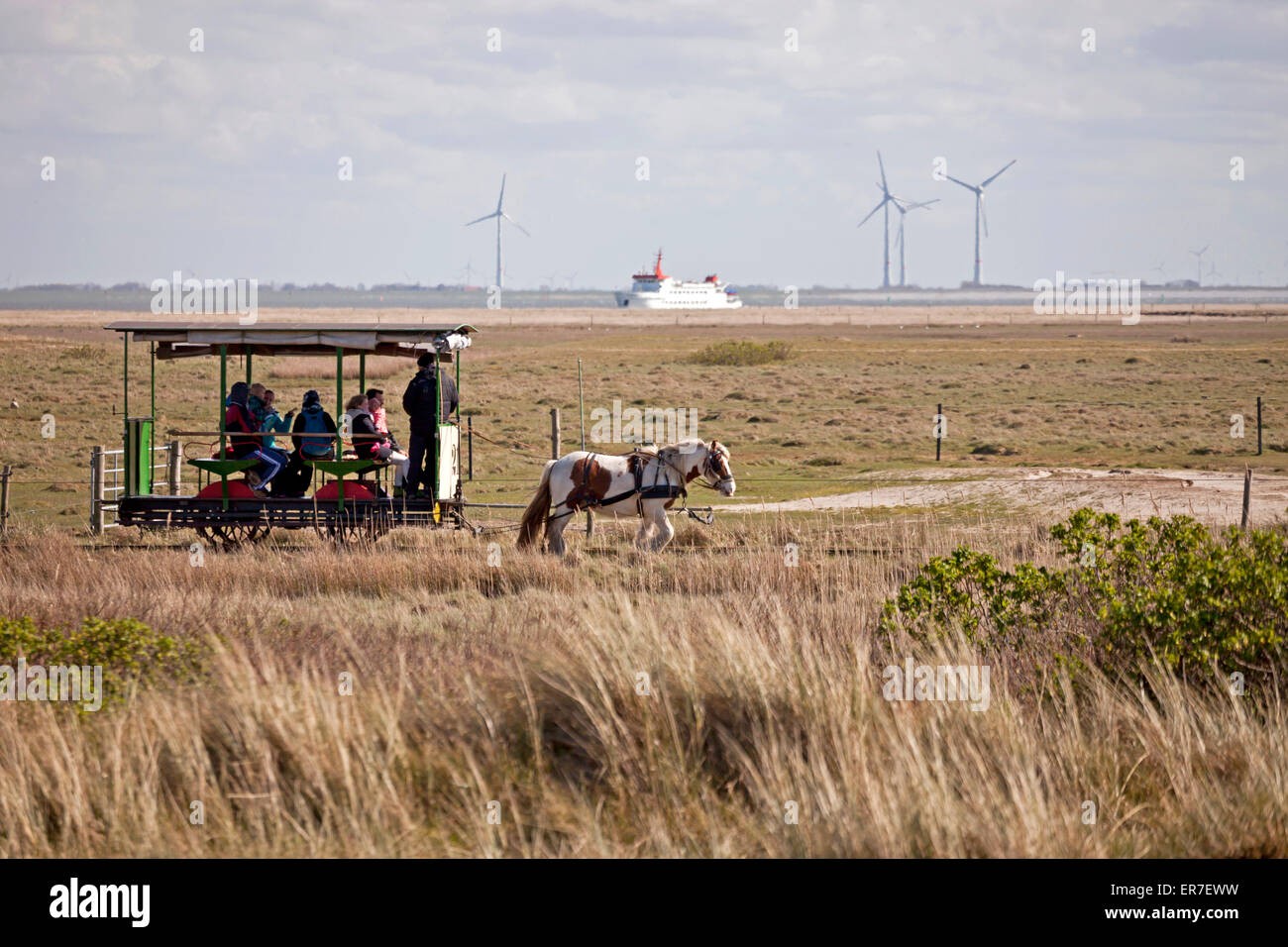 A cavallo il museo ferroviario, Est isola Frisone Spiekeroog, Bassa Sassonia, Germania Foto Stock