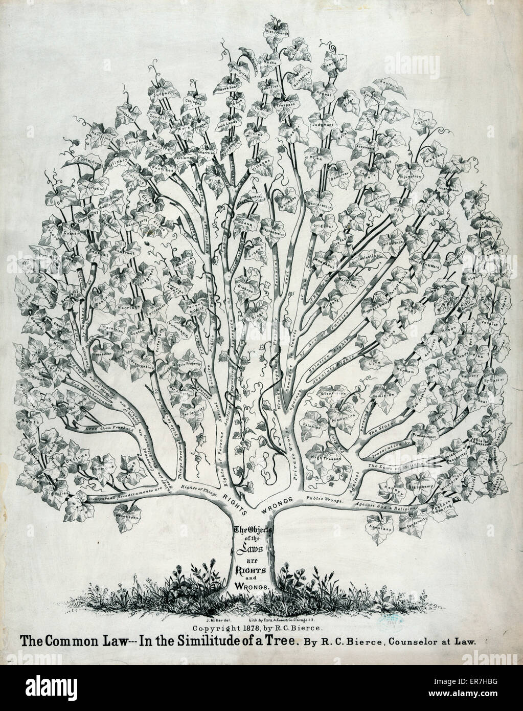 Il diritto comune nella similitudine di un albero. Data c1878. Foto Stock