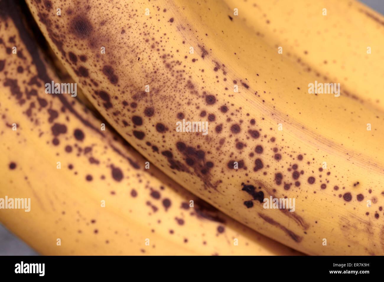 Macchie marroni sulle banane stramature Foto Stock