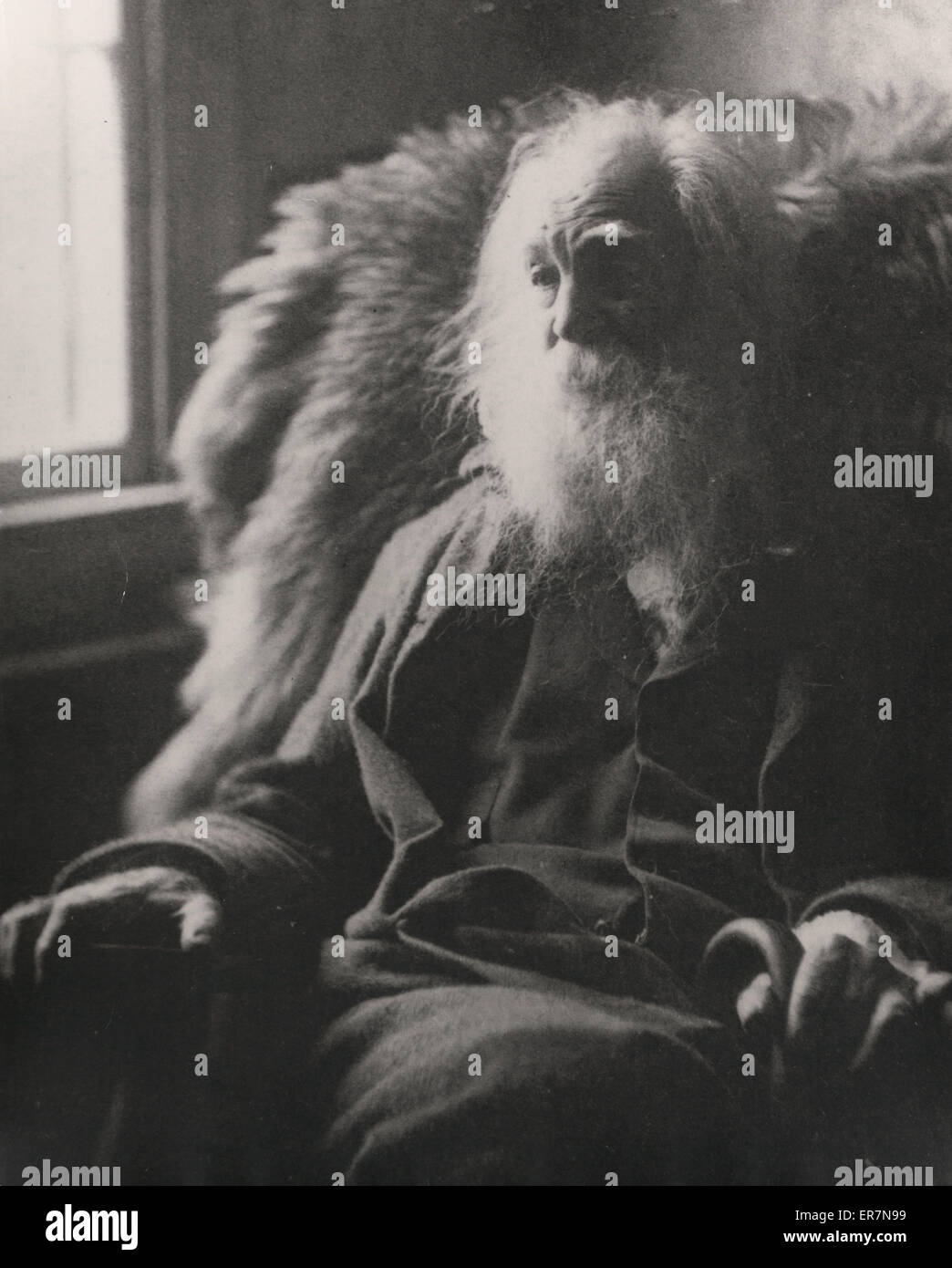 Walt Whitman, ritratto a metà lunghezza, seduto dalla finestra, di fronte Foto Stock