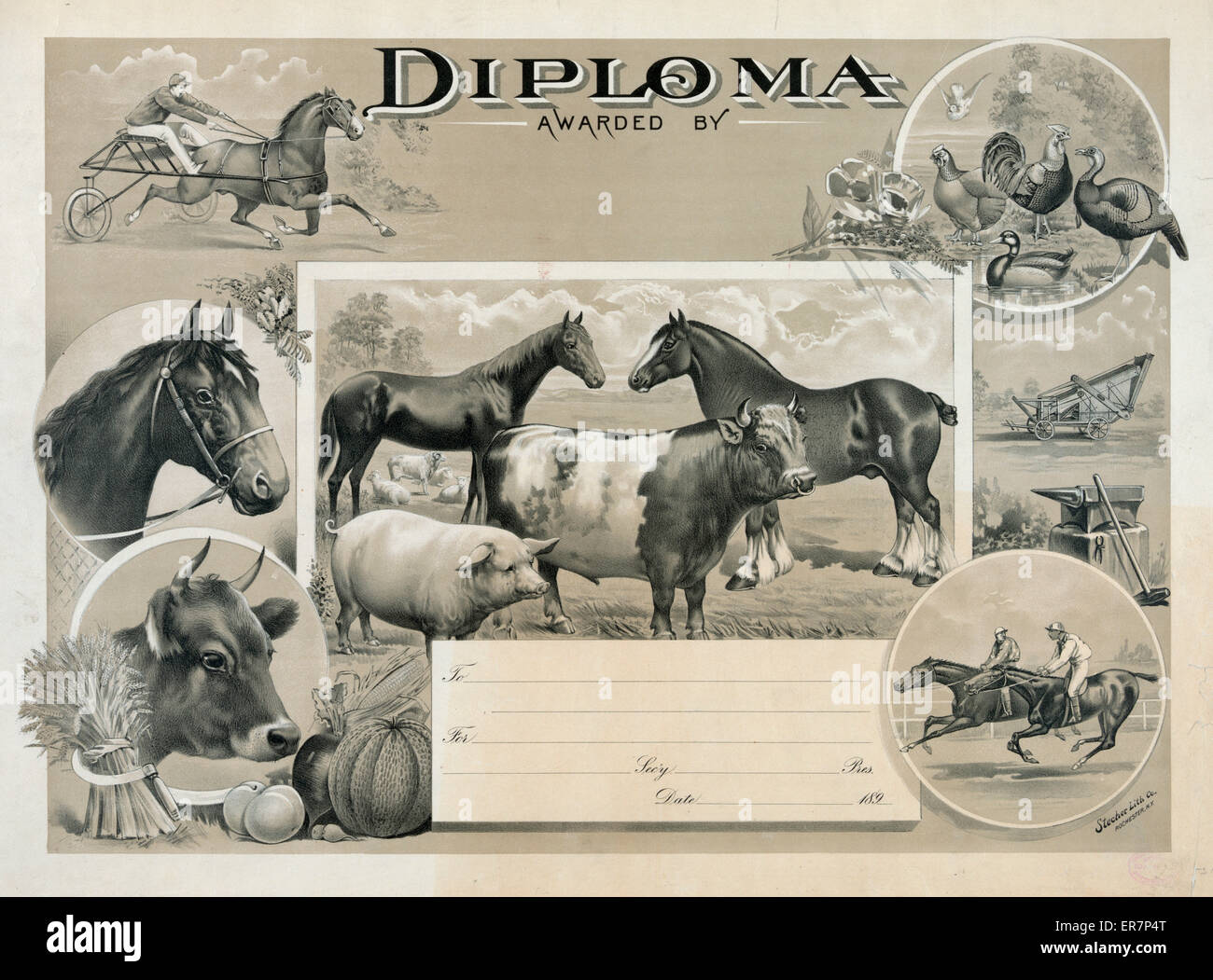 Diploma rilasciato immagini e fotografie stock ad alta risoluzione - Alamy