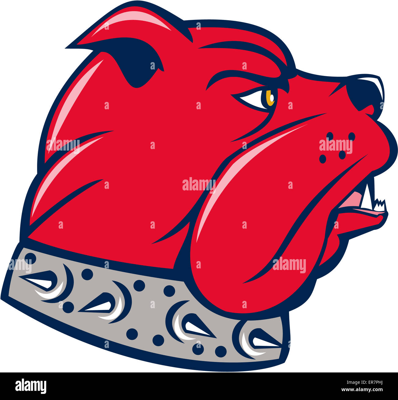 Illustrazione di un rosso testa bulldog visto dal lato impostato su isolato sfondo bianco fatto in stile cartoon. Foto Stock