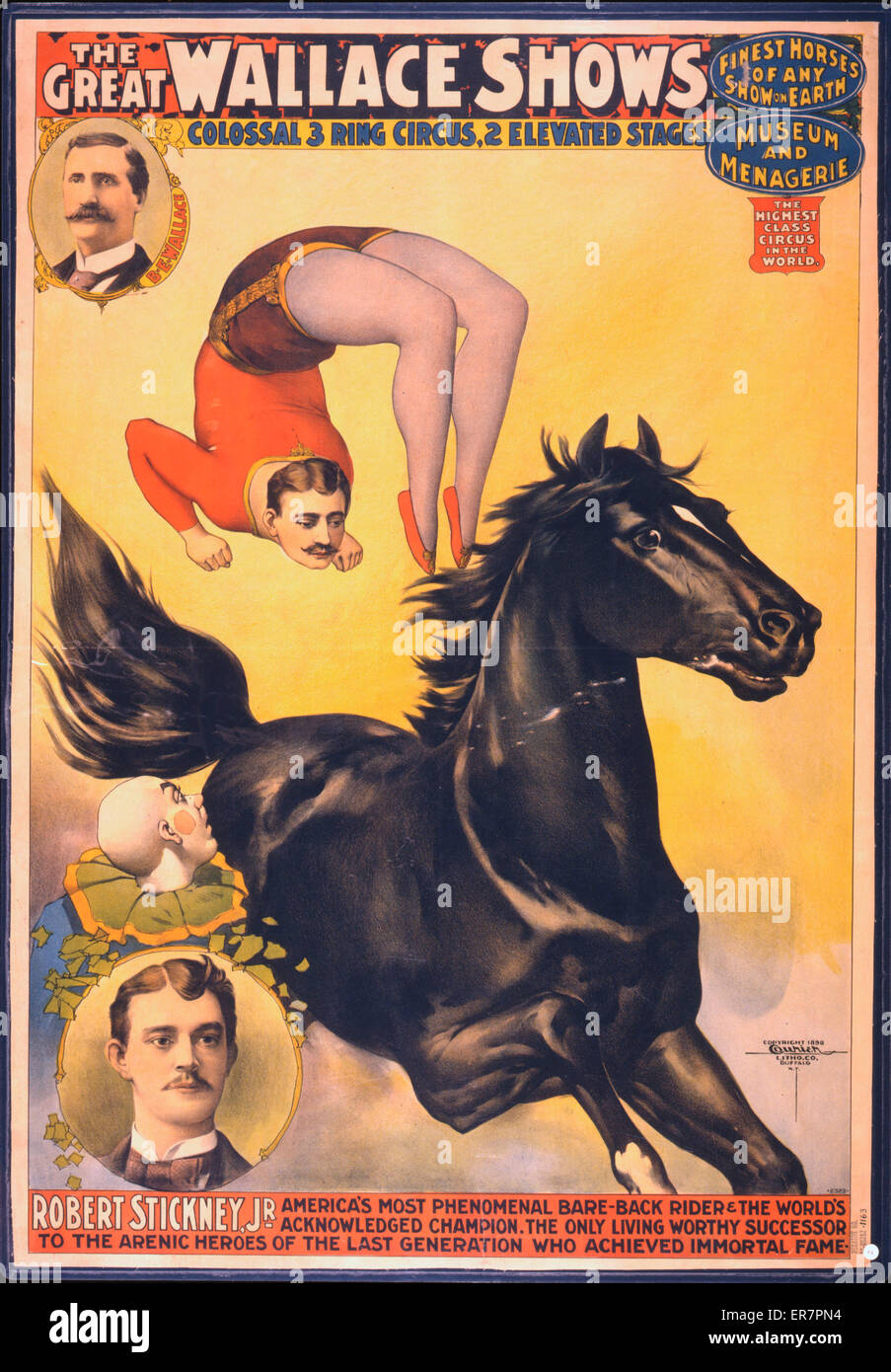 Il grande Wallace mostra: Colossale circo anello 3, 2 elevato Foto Stock