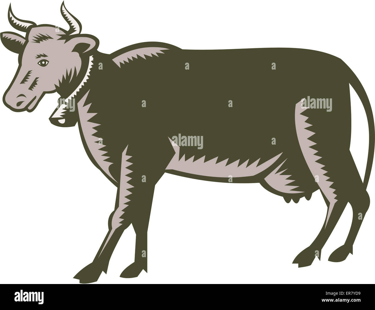 Illustrazione di una vacca da latte bull visto dal lato impostato su isolato sfondo bianco fatto in xilografia retrò stile. Foto Stock
