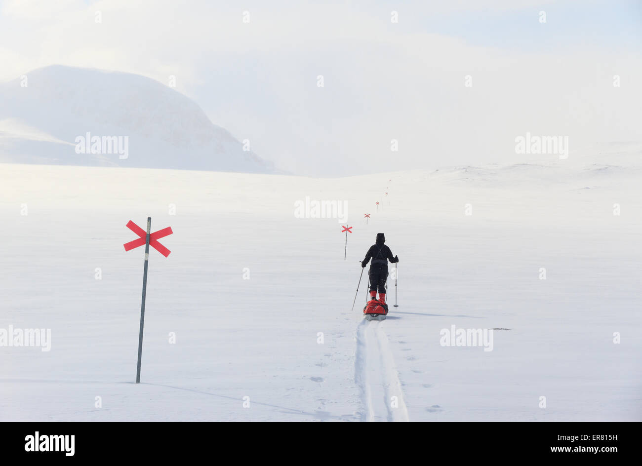 Sciatore su un sentiero segnato nella neve, la Lapponia. Foto Stock