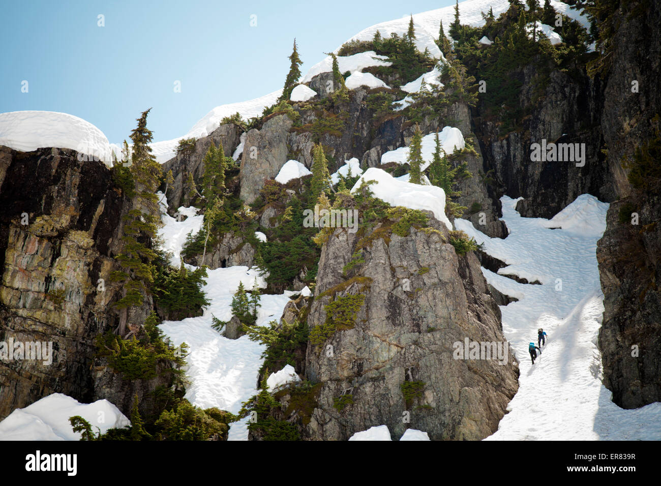 Due backpackers salire una neve burrone riempito in alta montagna della Columbia Britannica. Foto Stock