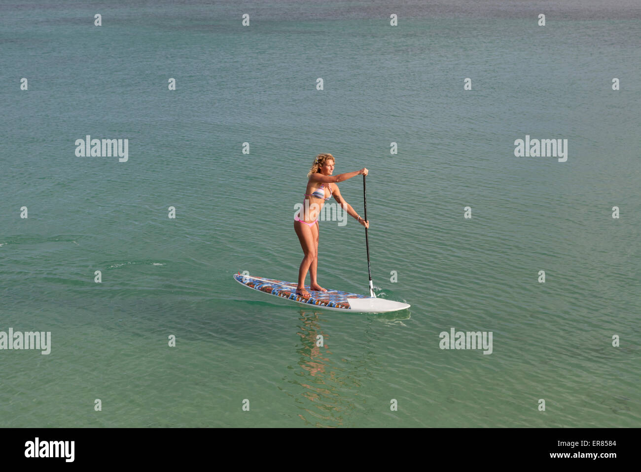 Vista di una bella ragazza bionda in bikini pagaiando su uno stand up paddle board Foto Stock