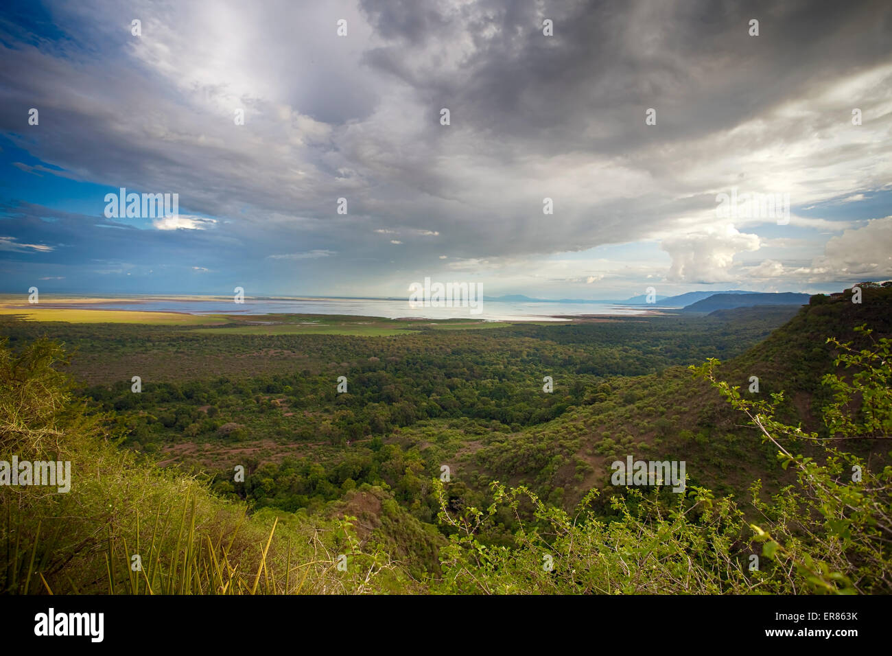 Safari al Lago Manyara National Park, Tanzania Foto Stock