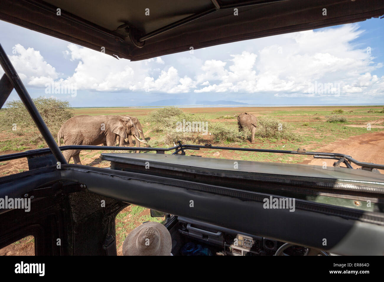 Safari al Lago Manyara National Park, Tanzania Foto Stock