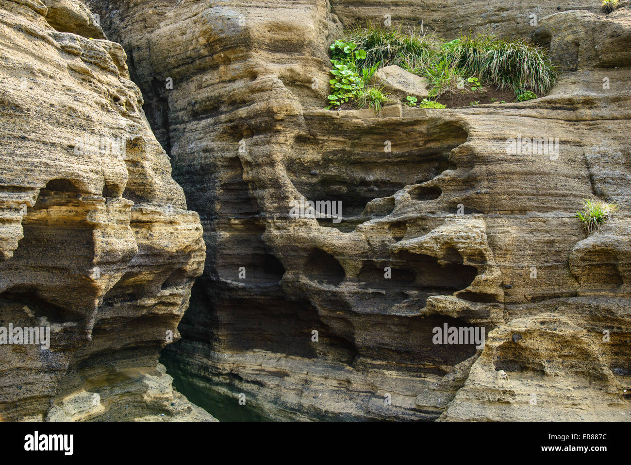 Stratificato di multistory ruvido e strane rocce sedimentarie nella famosa località turistica della costa Yongmeori(testa di drago costa) nell'Isola di Jeju. Foto Stock