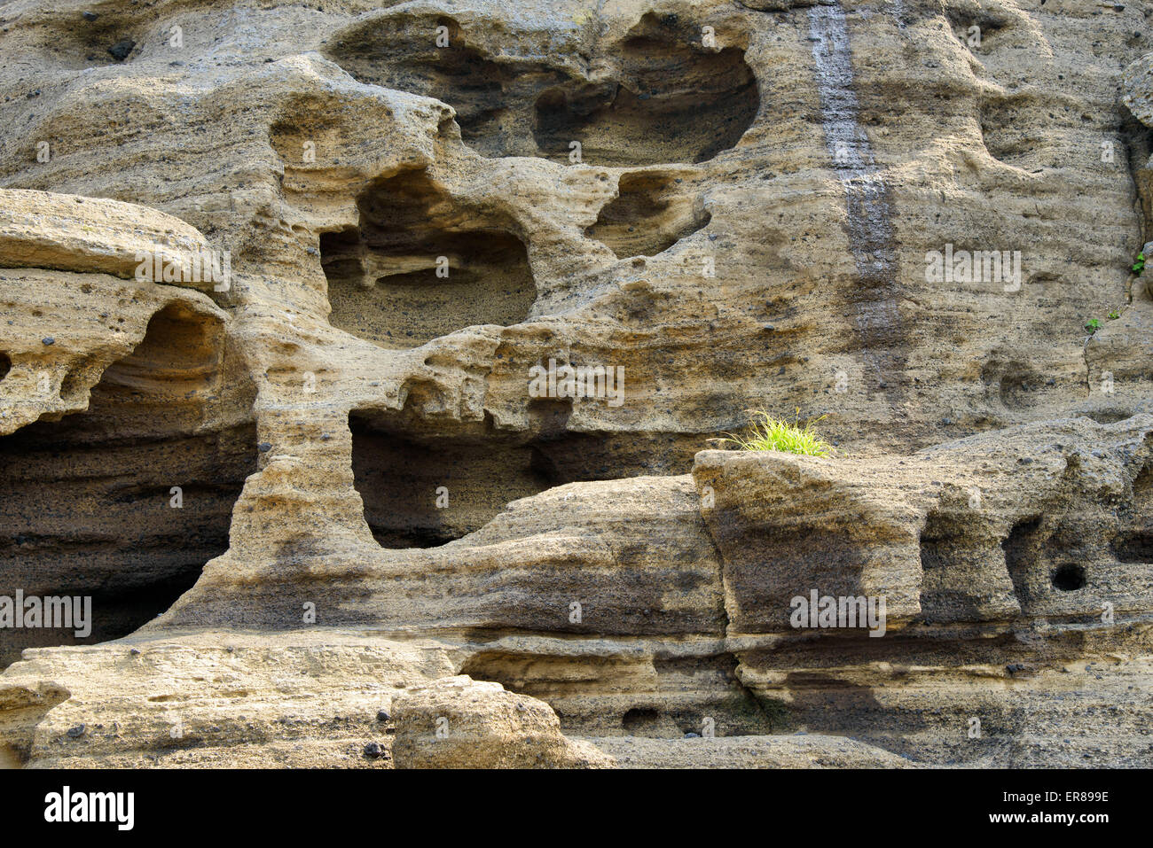 Stratificato di multistory ruvido e strane rocce sedimentarie nella famosa località turistica della costa Yongmeori(testa di drago costa) nell'Isola di Jeju. Foto Stock