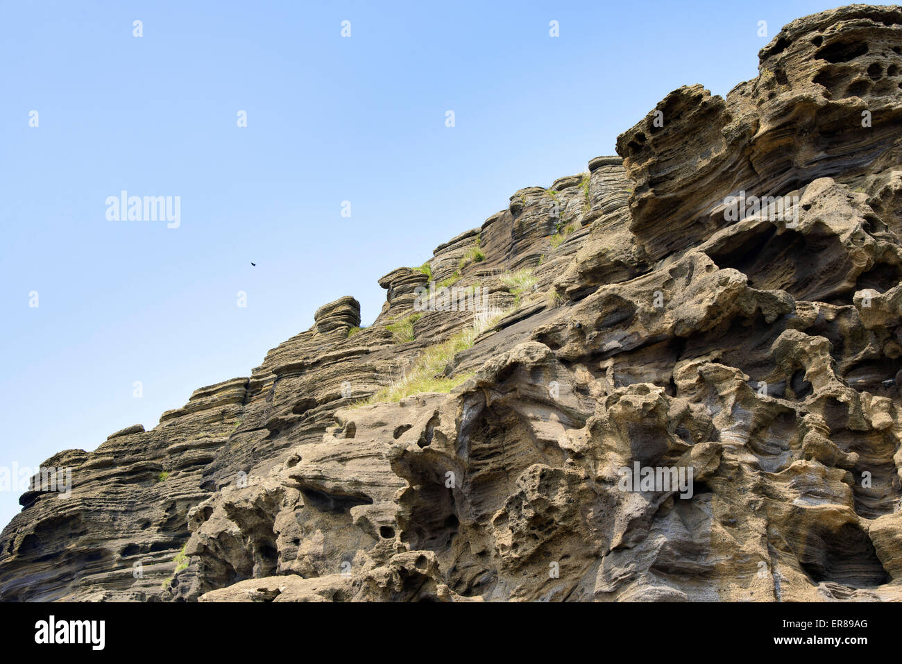 Stratificato di multistory ruvido e strane rocce sedimentarie nella famosa località turistica della costa Yongmeori(testa di drago costa) nell'Isola di Jeju. Foto Stock