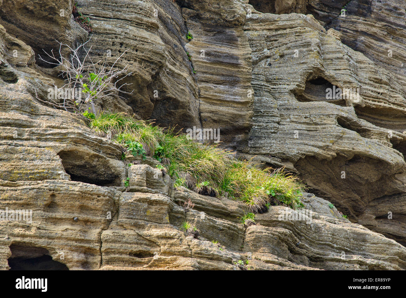 Stratificato di multistory ruvido e strane rocce sedimentarie nella famosa località turistica della costa Yongmeori(testa di drago costa) nell'Isola di Jeju. Foto Stock