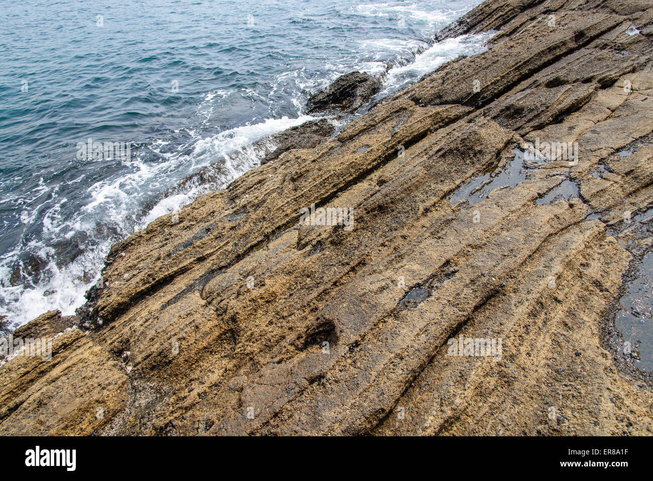 Stratificato di multistory ruvido e strane rocce sedimentarie nella famosa località turistica della costa Yongmeori(testa di drago costa) nell'Isola di Jeju. Foto Stock