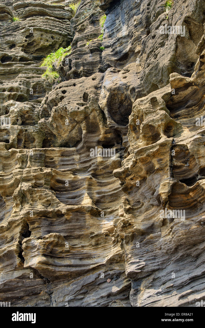 Stratificato di multistory ruvido e strane rocce sedimentarie nella famosa località turistica della costa Yongmeori(testa di drago costa) nell'Isola di Jeju. Foto Stock