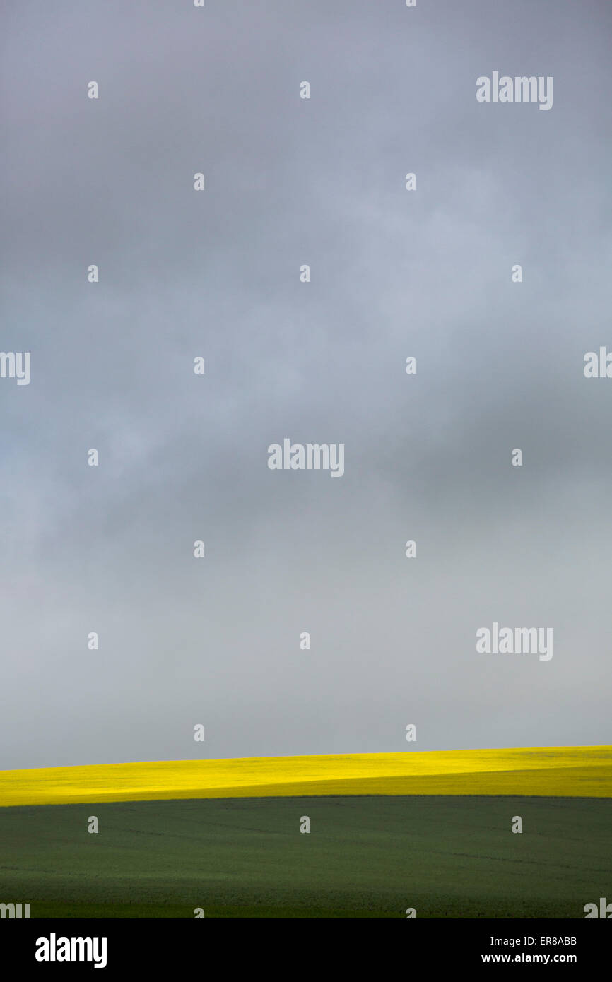 Campo agricolo contro il cielo nuvoloso Foto Stock
