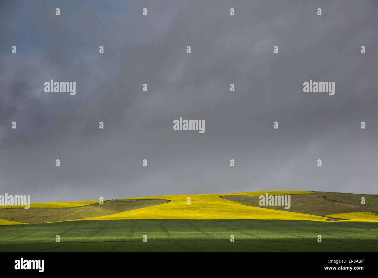 Campo agricolo contro il cielo nuvoloso Foto Stock