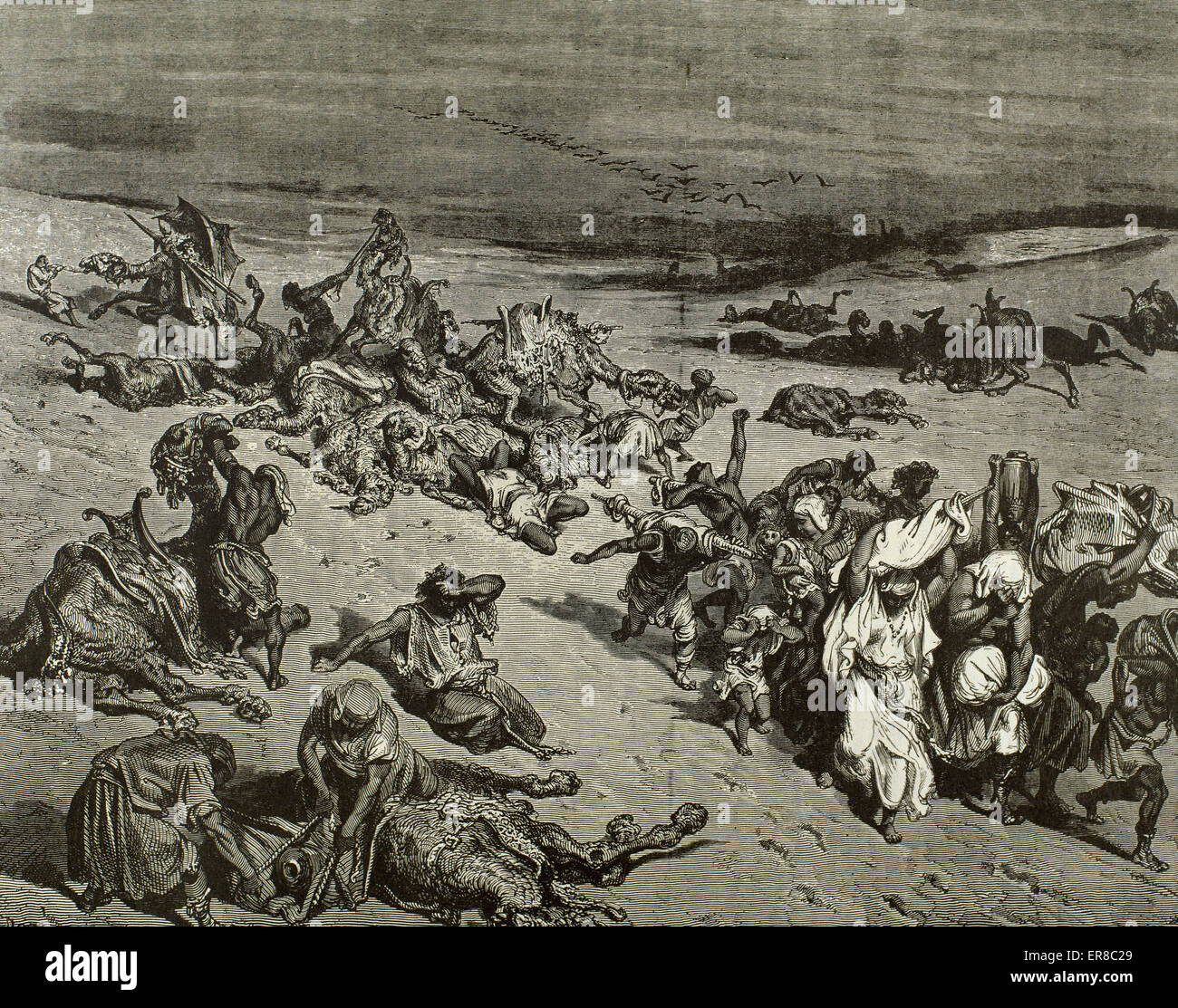 Il Murrain della bestia. La quinta piaga: malattie del bestiame. Exod 9. Incisione di Gustave Dore. Xix C. Foto Stock