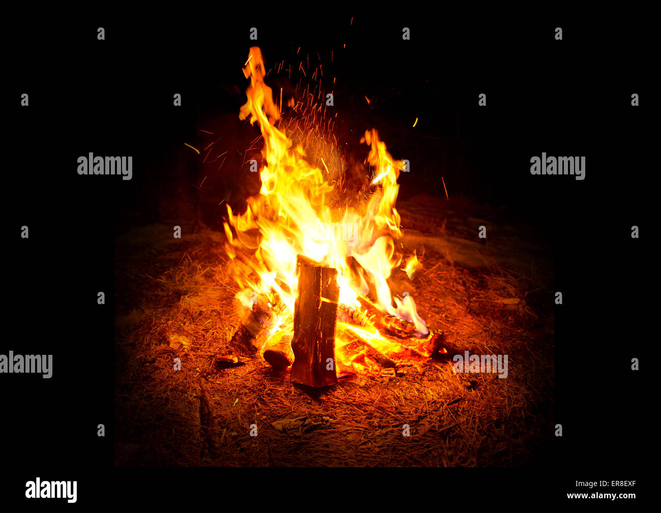 Camping Fire. Un caldo incandescente campo di fuoco di notte. Foto Stock