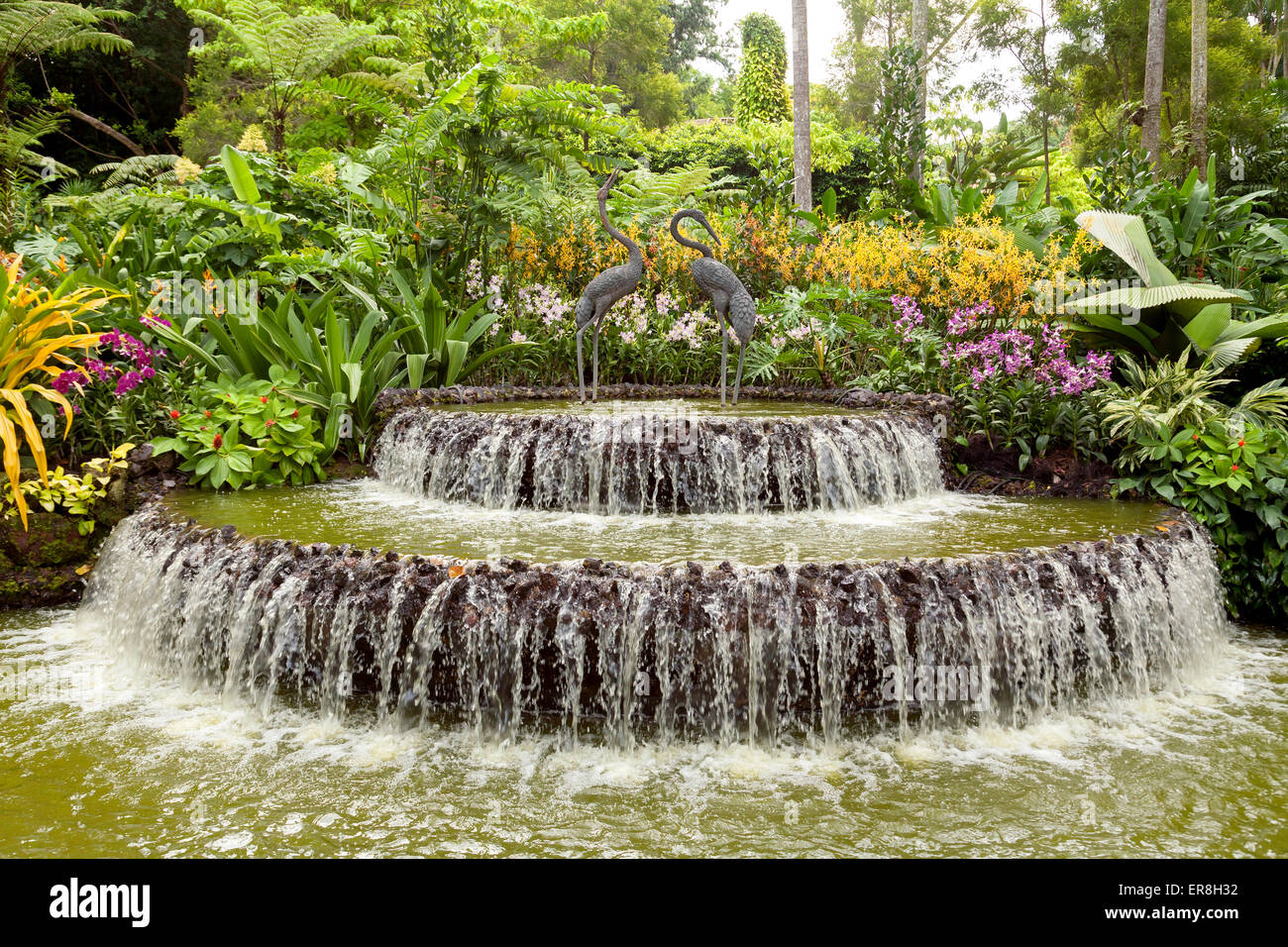 Una fontana in Singapore Botanic Gardens, Singapore, Sud-est asiatico Foto Stock