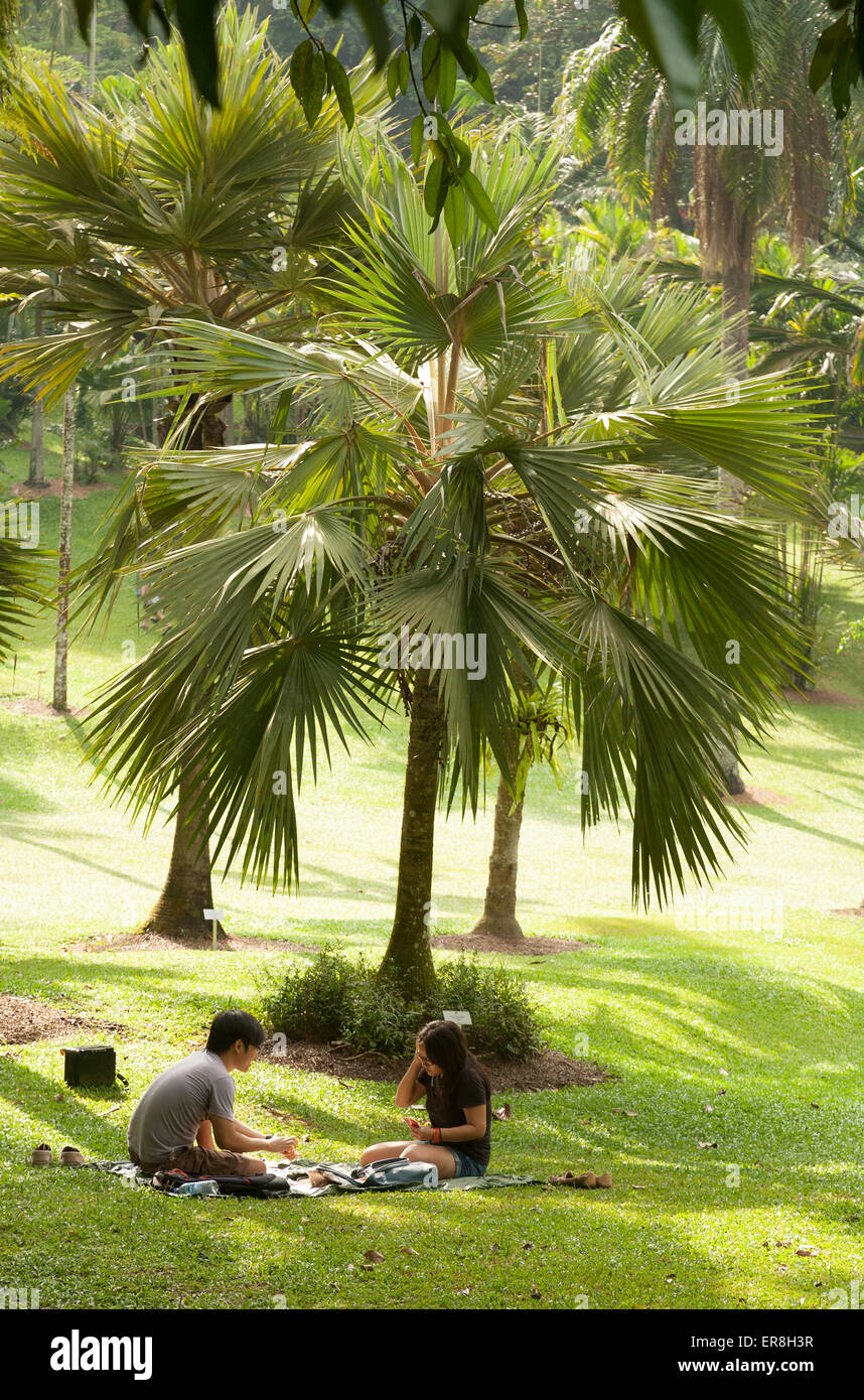 La gente seduta in Singapore Botanic Gardens, Singapore, Sud-est asiatico Foto Stock
