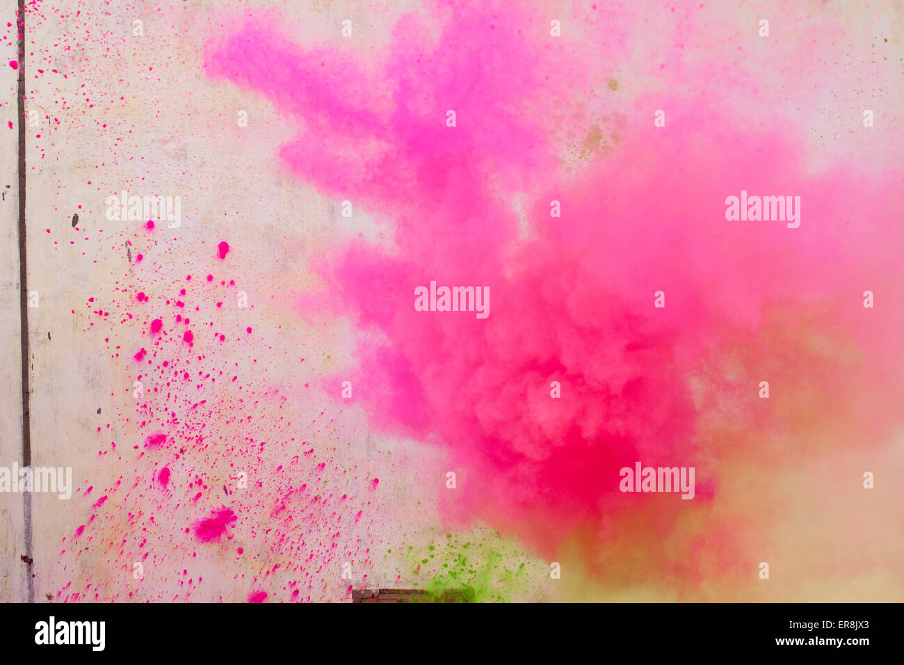 Polvere di colore rosa per la verniciatura a spruzzo durante Holi festival Foto Stock