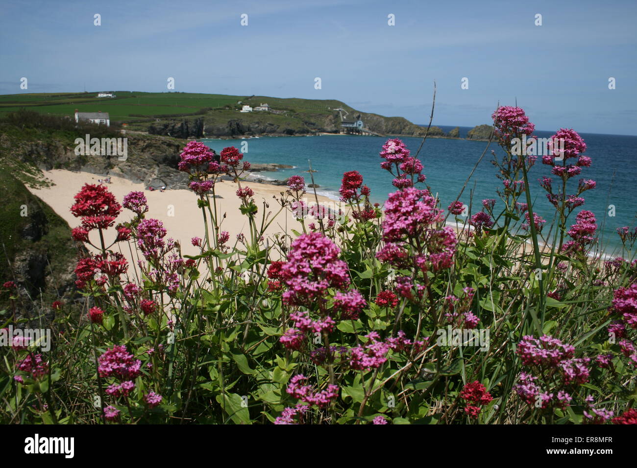 Mother Ivey's Bay, Lifeboat station, Cornovaglia, Estate Foto Stock