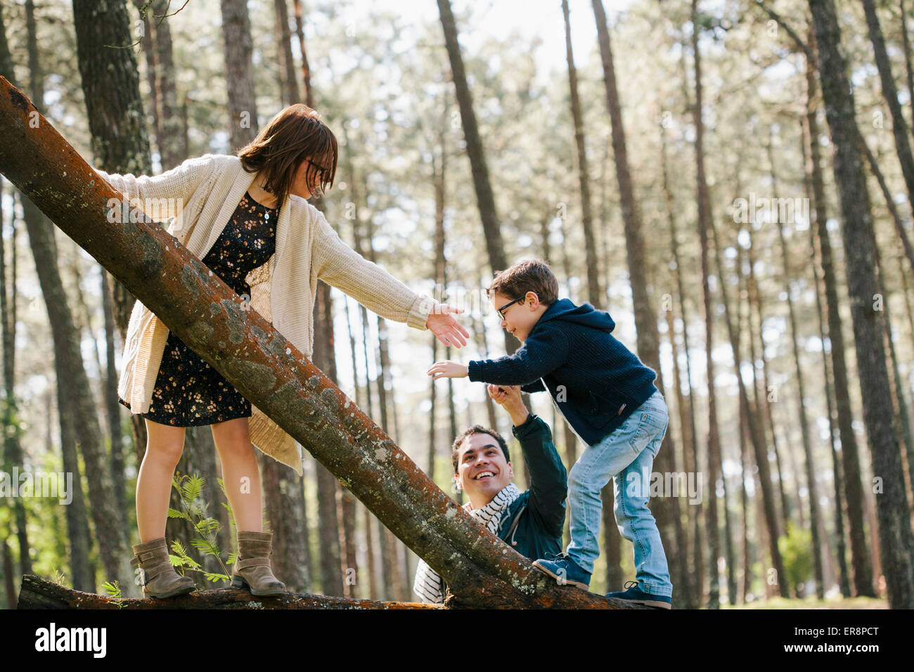 Genitori felici di assistere il figlio in arrampicata albero nella foresta Foto Stock