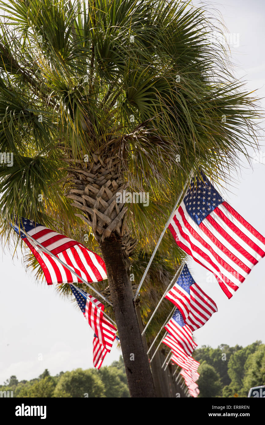 Bandierine americane decorano le palme per la celebrazioni del Giorno dell'indipendenza Luglio 3, 2013 in Charleston, Sc. Foto Stock