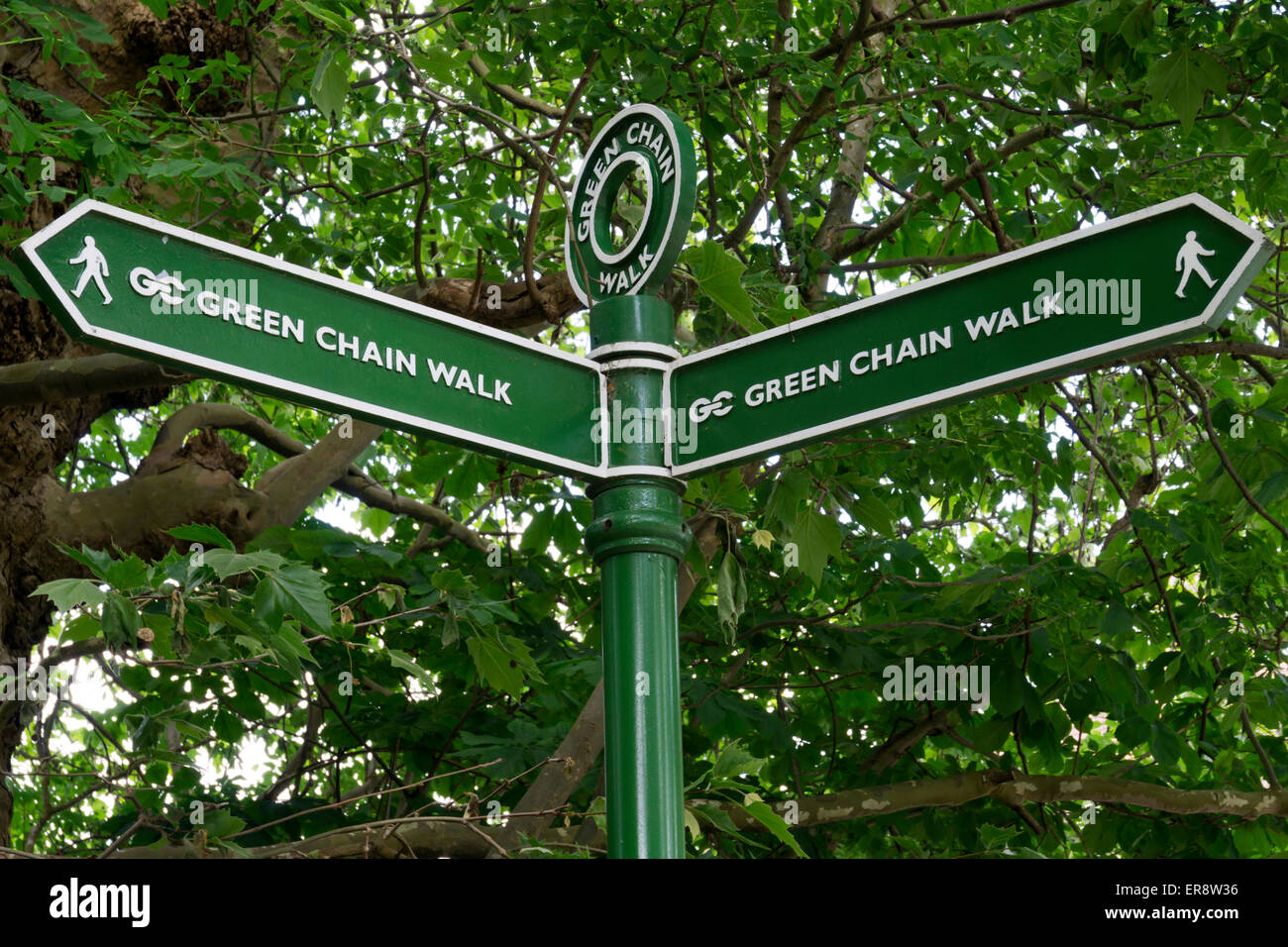 Un segno per la catena di verde a piedi nei boschi Ravensbourne, Londra del sud Foto Stock