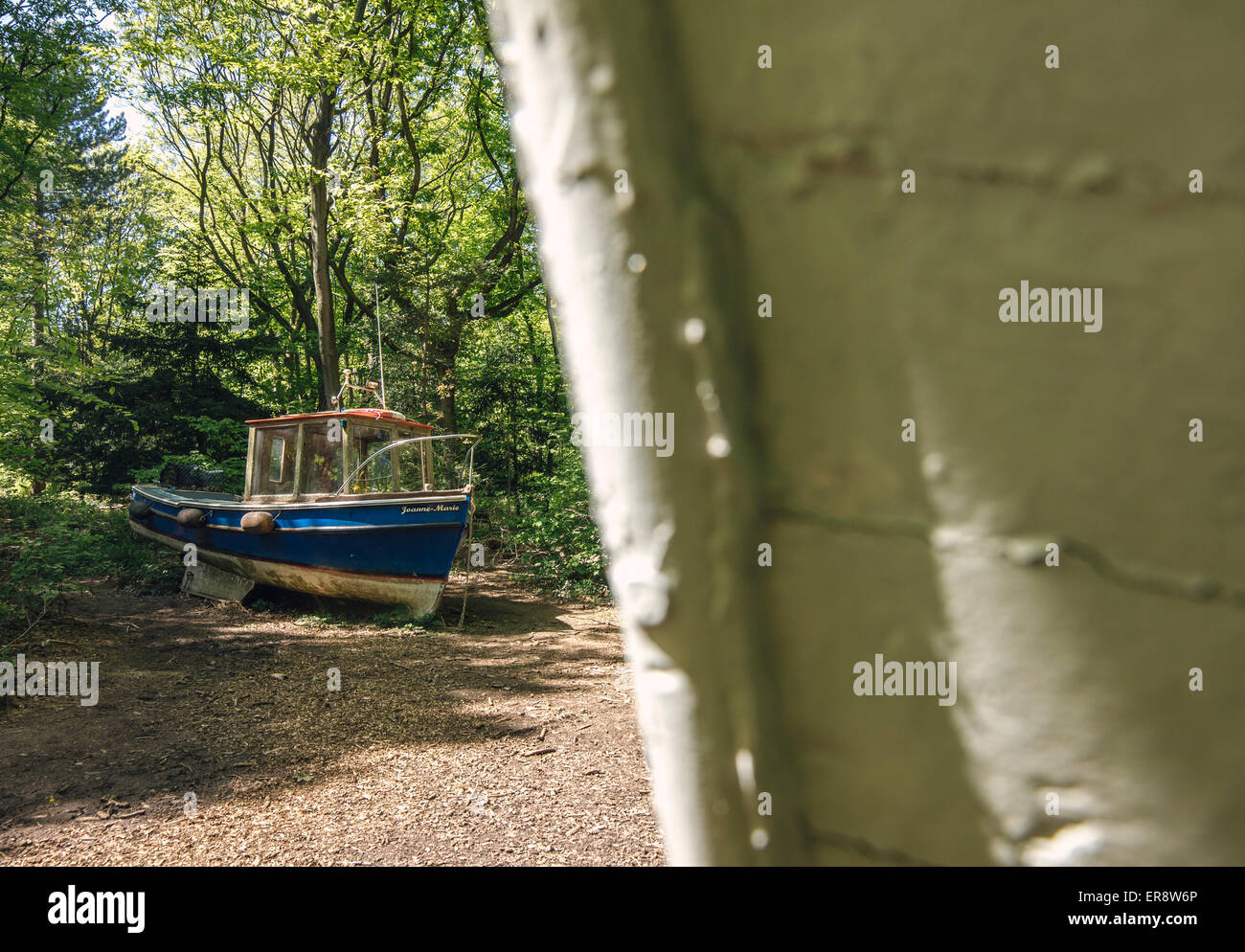 Bristol Leigh Woods navi ritirate arte di installazione da Luke Jerram Foto Stock