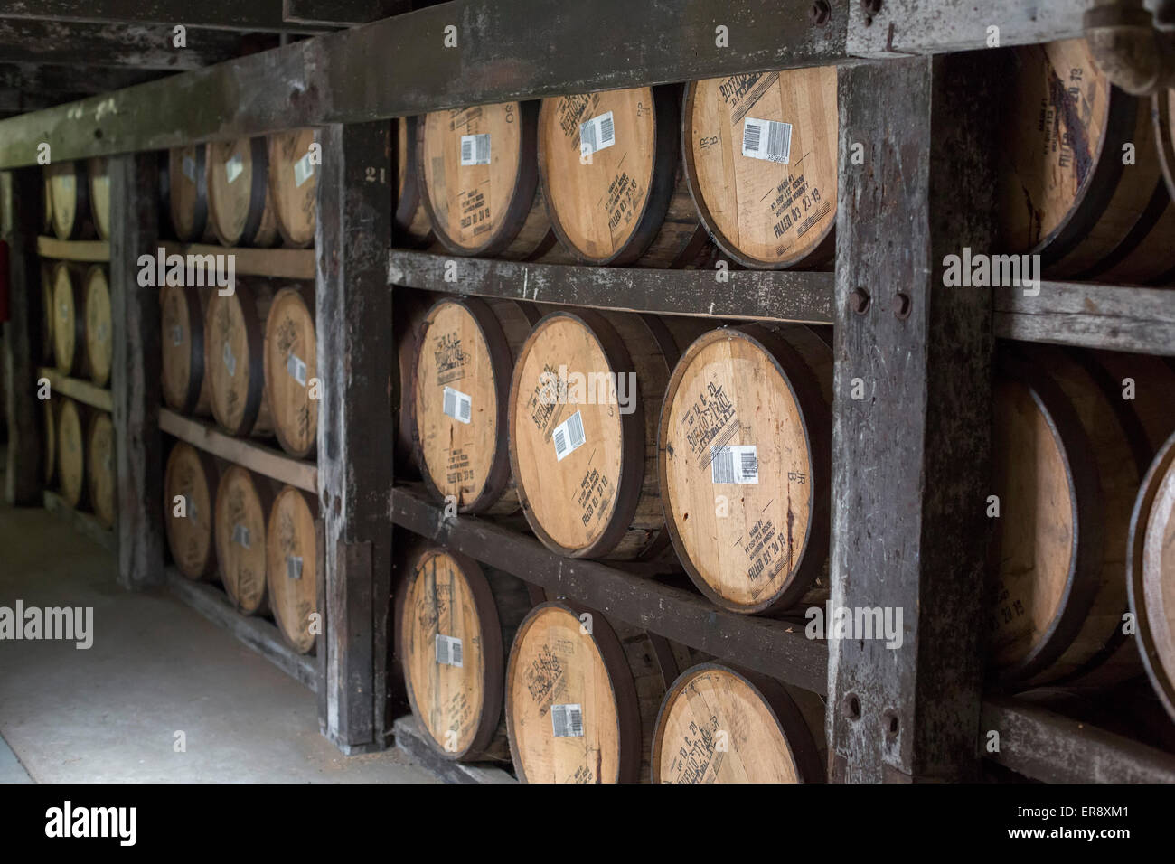 Francoforte, Kentucky - botti di bourbon invecchiamento in un magazzino a Buffalo Trace Distillery. Foto Stock