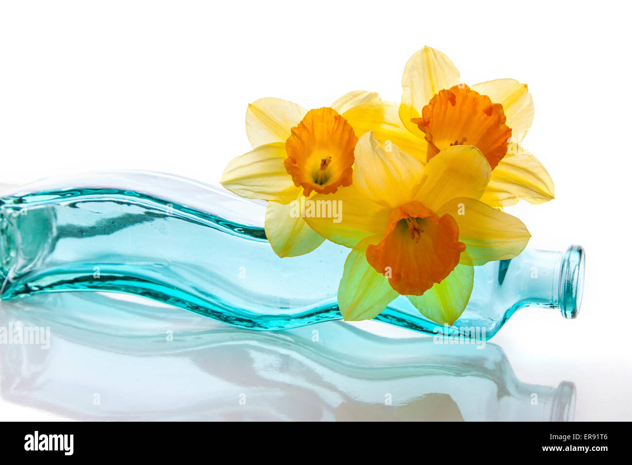 Tre i narcisi su un verde bottiglia. Foto Stock