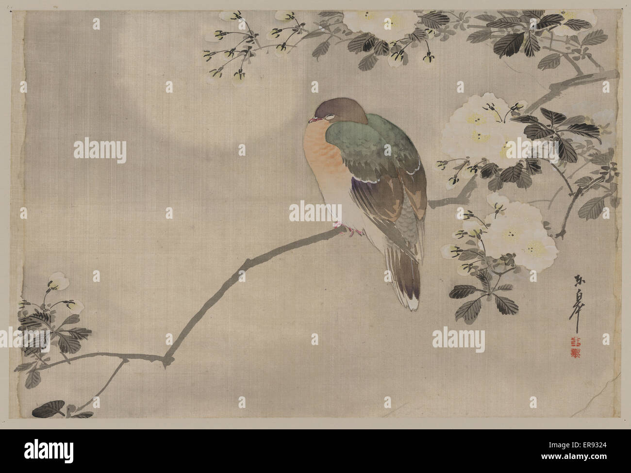 Uccello appollaiato su un ramo di un albero di fioritura Foto Stock