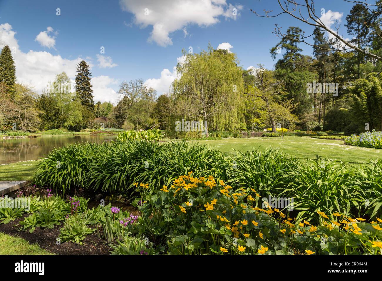 Longstock acqua parco giardino, John Lewis Leckford station wagon, Stockbridge, Hampshire, Inghilterra, Regno Unito Foto Stock