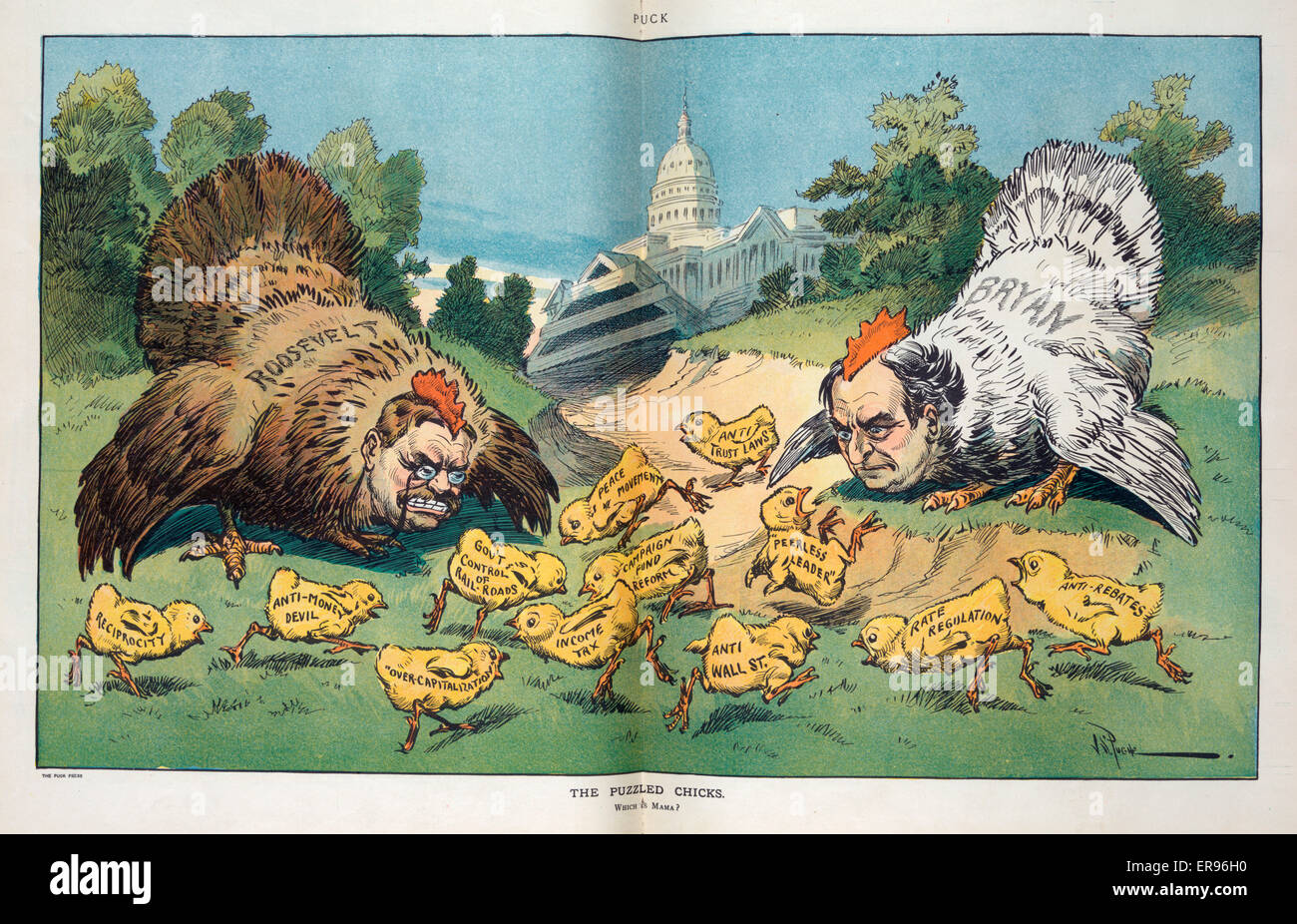 I pulcini perplessi Foto Stock