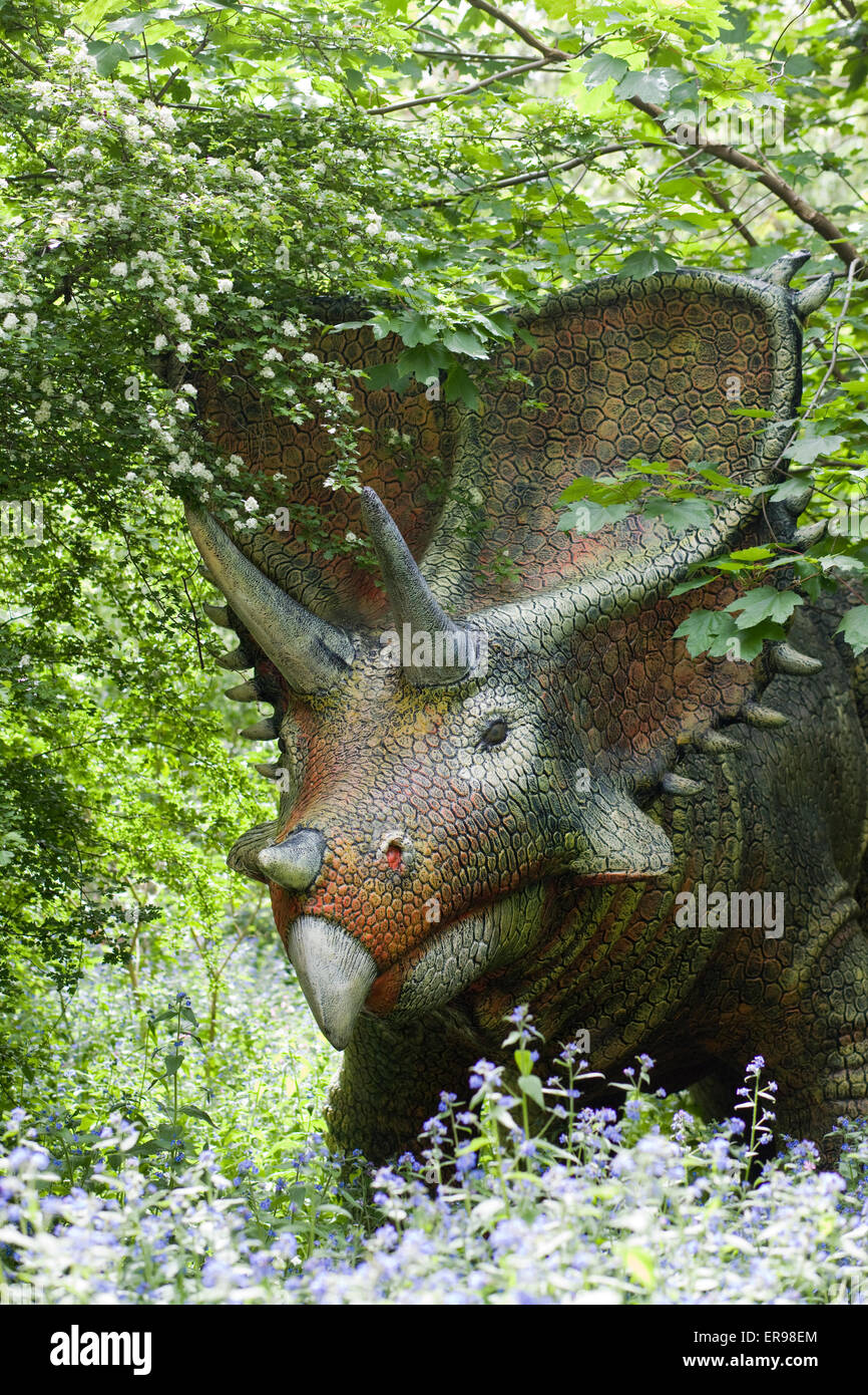 Dinosauro Triceratop statua a piedi nei boschi Foto Stock