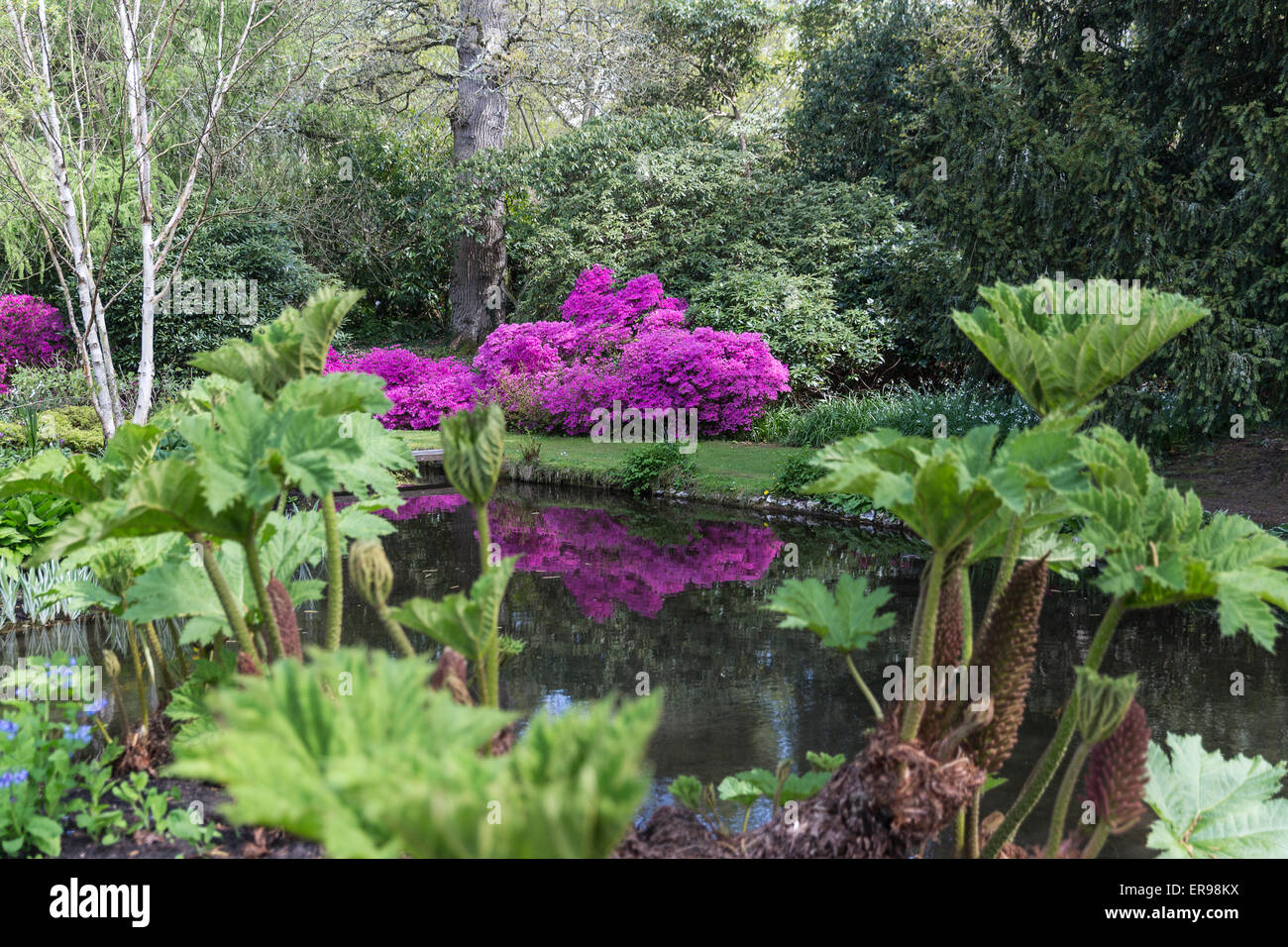 Longstock acqua parco giardino, John Lewis Leckford station wagon, Stockbridge, Hampshire, Inghilterra, Regno Unito Foto Stock