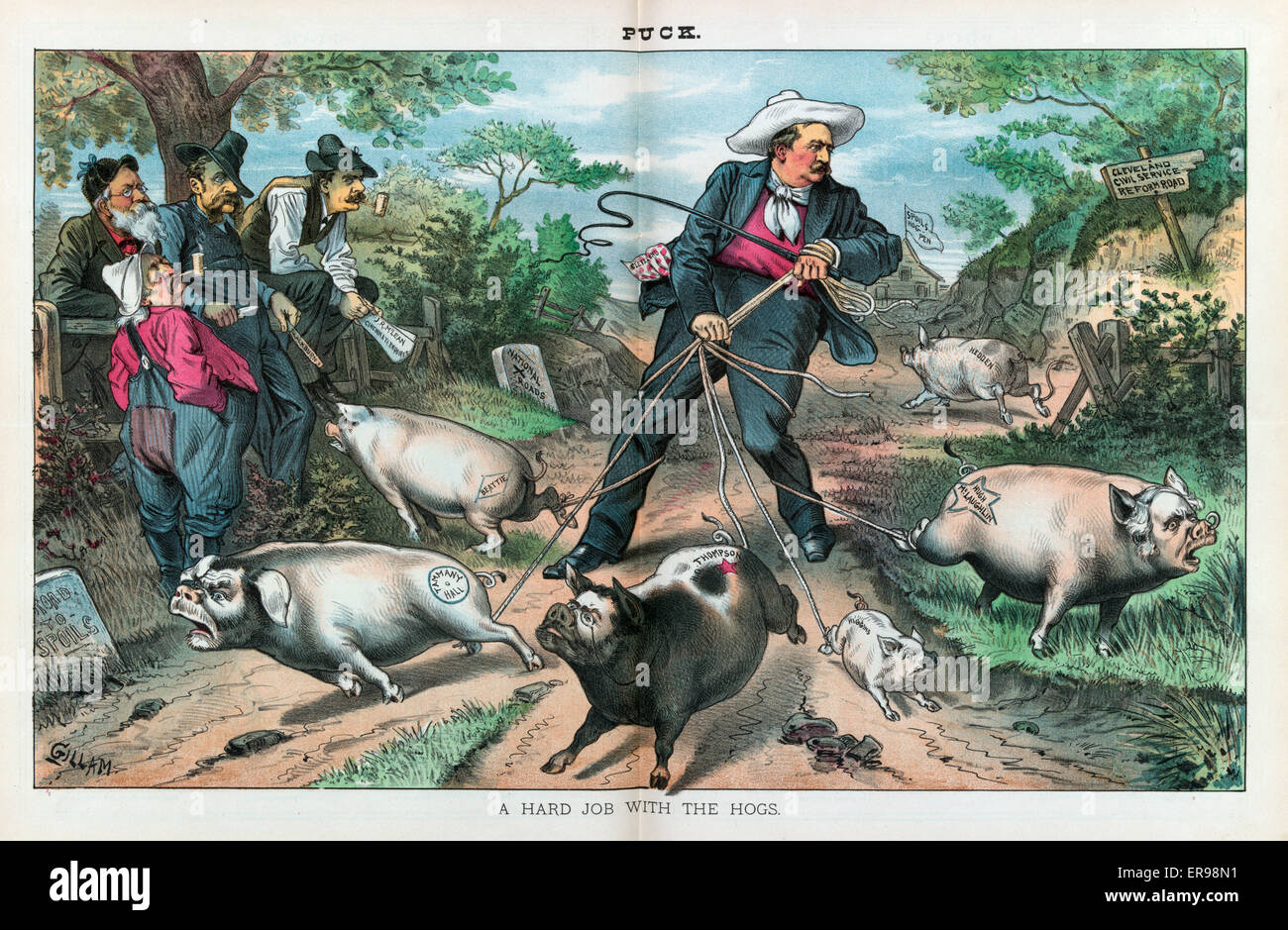 Un lavoro duro con i porci Foto Stock