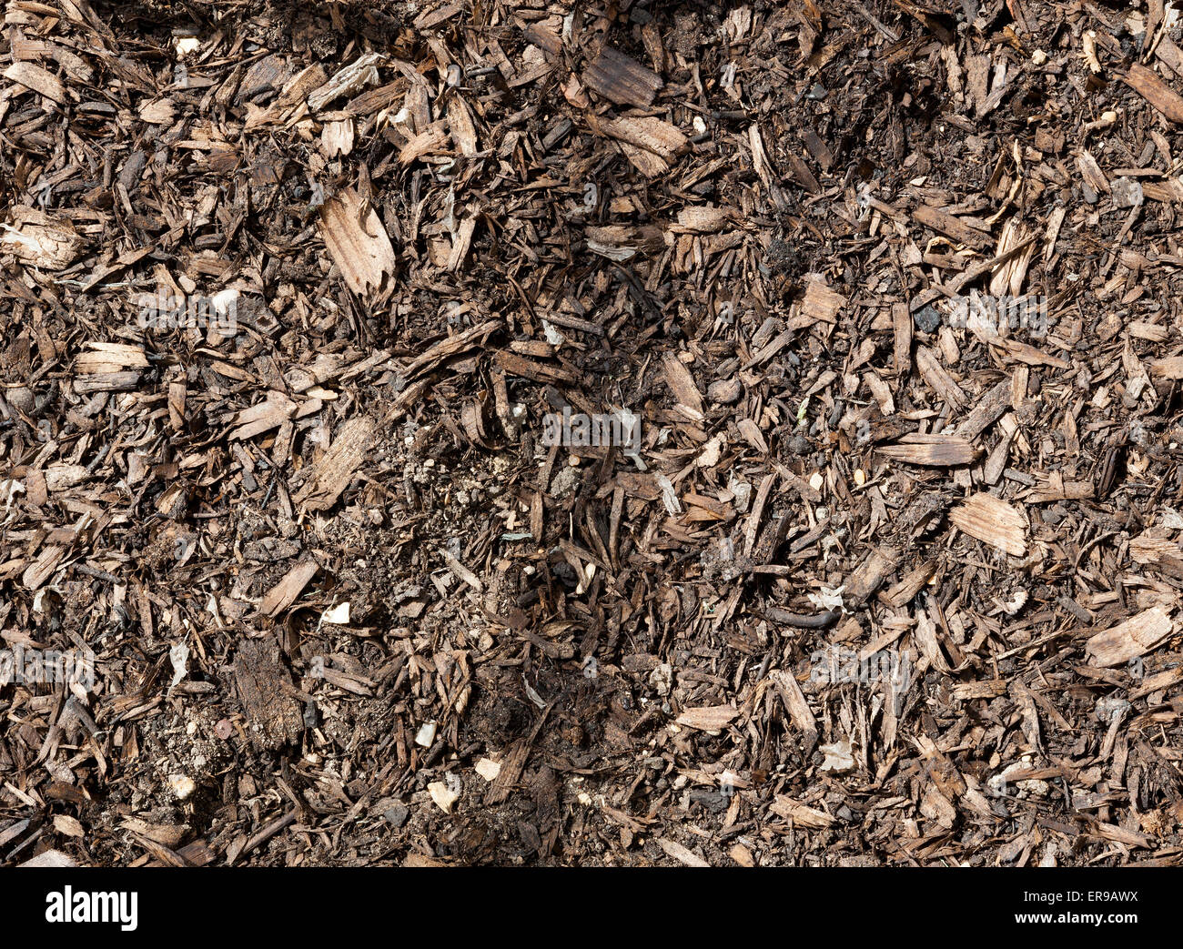 Chip di legno mescolato nel suolo. Foto Stock