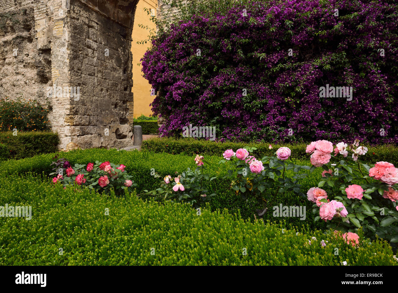 Ingresso di Monteria Patio con bouganville e rose Royal Palace Alcazar di Siviglia Spagna Foto Stock