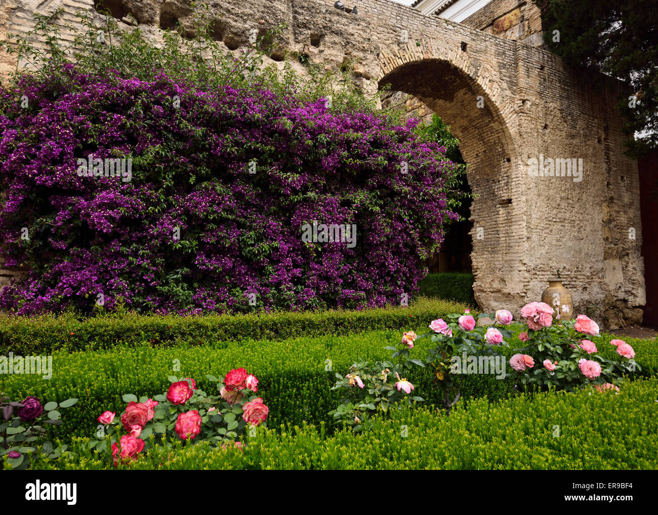 Arco in pietra ingresso Monteria Patio con bouganville e rose Royal Palace Alcazar di Siviglia Spagna Foto Stock
