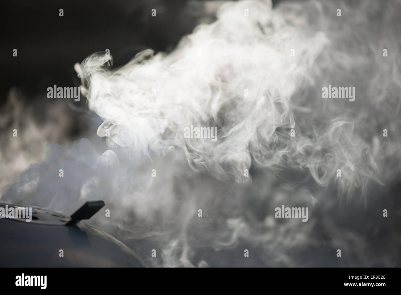 Griglia Per Il Barbecue, fumo e fiamme Foto Stock