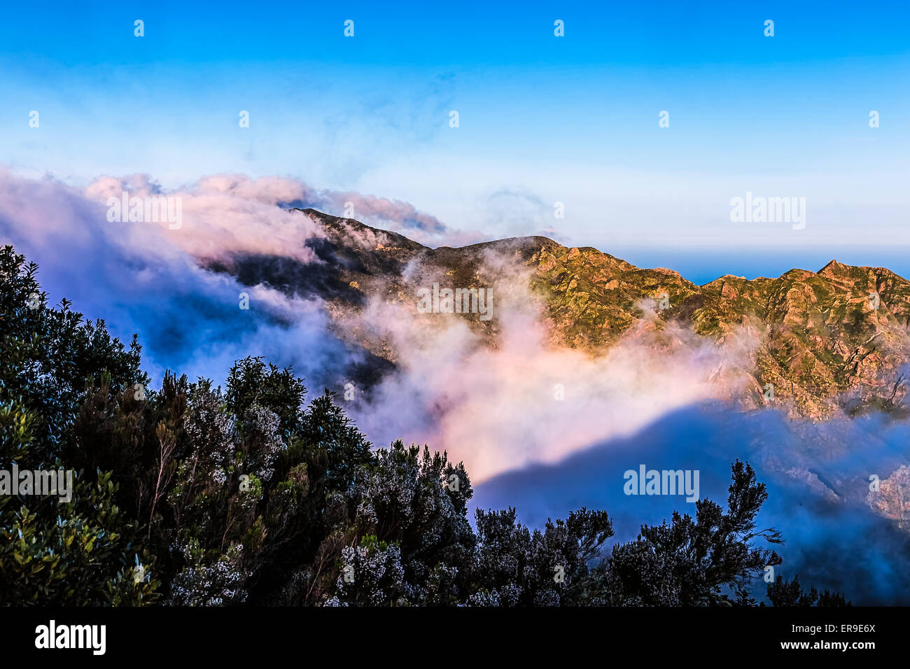 Montagne di bianco e rosa nuvole paesaggio nell'isola di Tenerife, Spagna Foto Stock