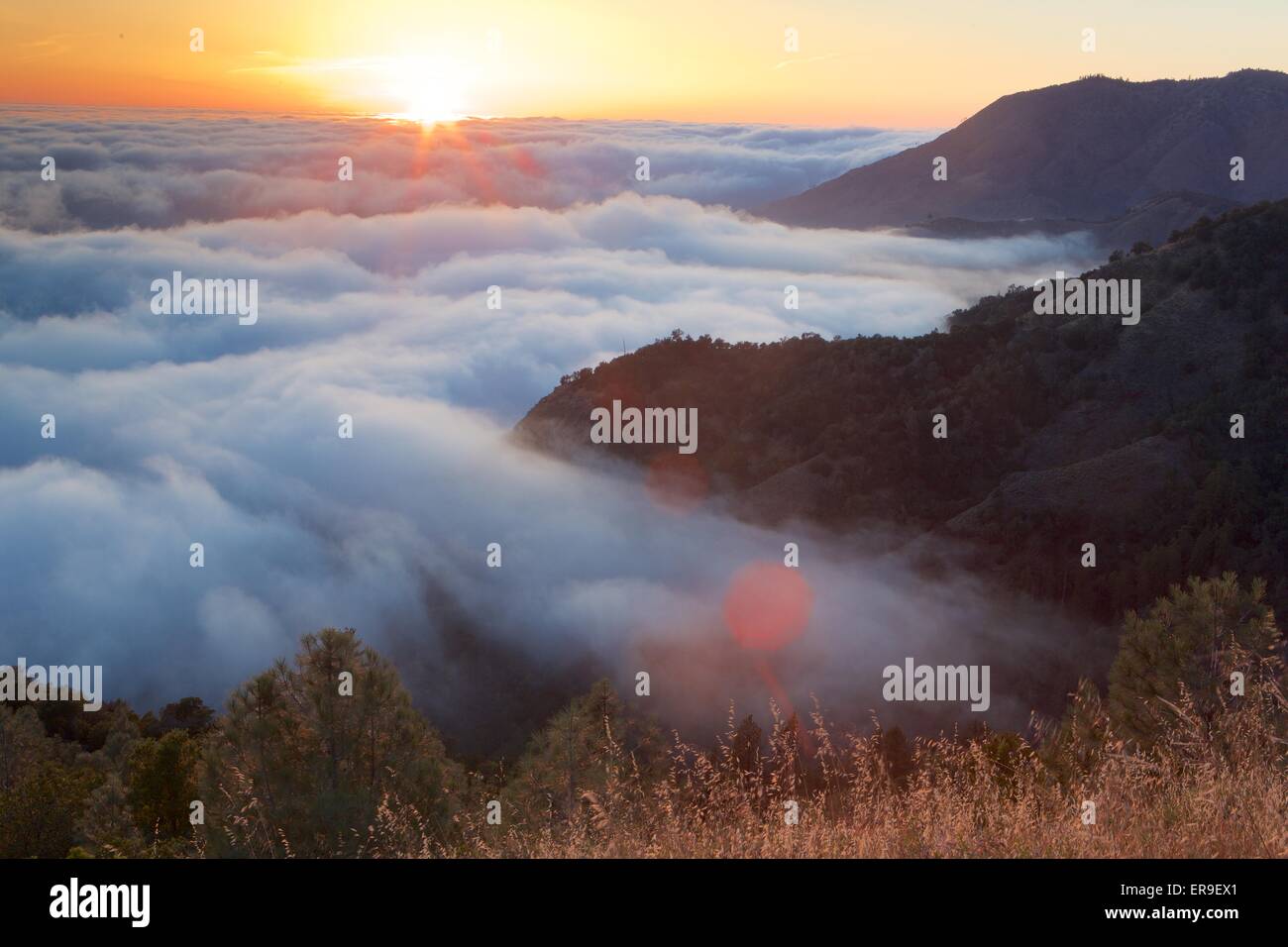 Nebbia costiera al tramonto in Big Sur, California. Foto Stock