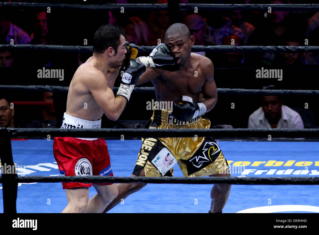 Brooklyn, New York, Stati Uniti d'America. 29 Maggio, 2015. JAVIER FORTUNA (oro e nero trunk) e BRYAN VASQUEZ battaglia in un bout presso la Barclays Center di Brooklyn, New York. © Joel Plummer/ZUMA filo/Alamy Live News Foto Stock