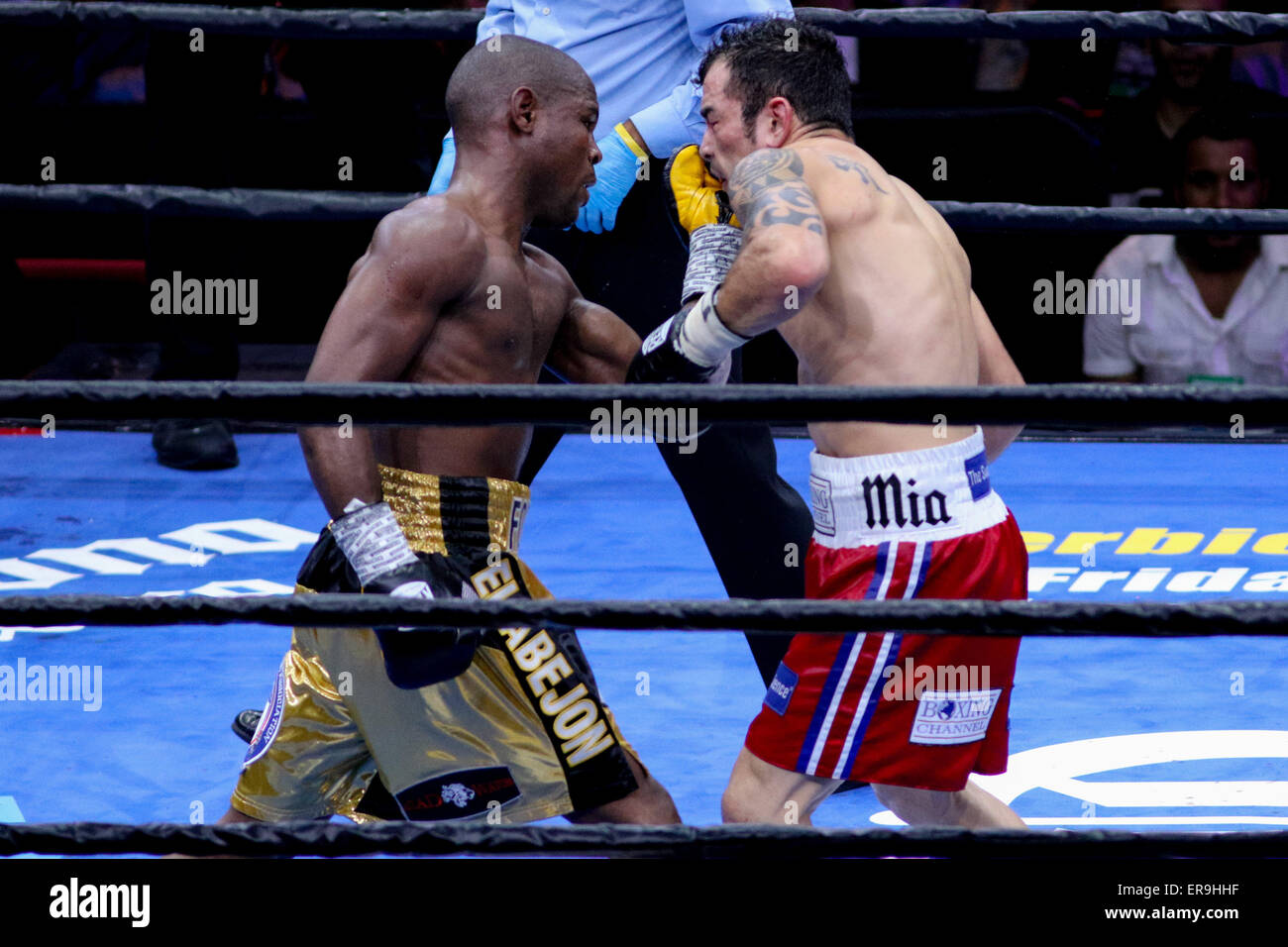 Brooklyn, New York, Stati Uniti d'America. 29 Maggio, 2015. JAVIER FORTUNA (oro e nero trunk) e BRYAN VASQUEZ battaglia in un bout presso la Barclays Center di Brooklyn, New York. © Joel Plummer/ZUMA filo/Alamy Live News Foto Stock