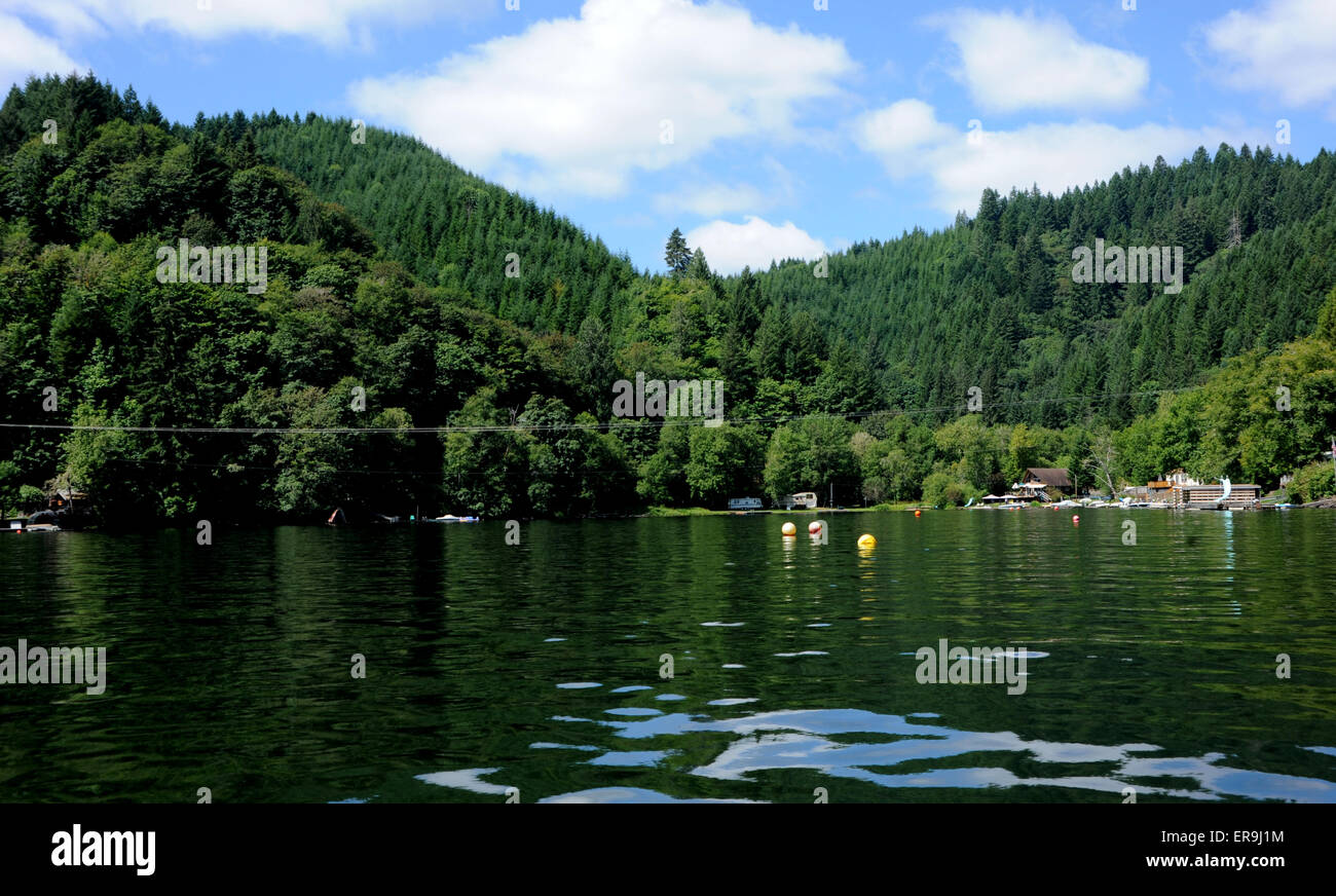 Lago di triangolo, Lane County, Oregon, Stati Uniti d'America - Lago di scene, giorno chiaro, il bianco delle nuvole Foto Stock